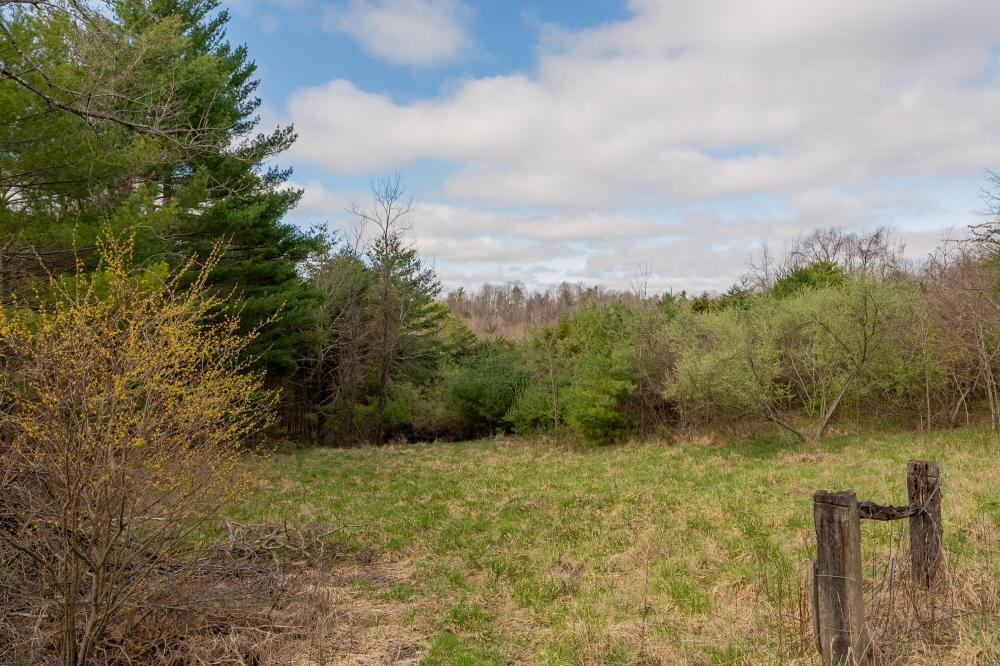 Currently Displayed Property Photo